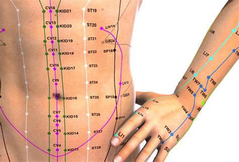 stomach acupuncture points chart